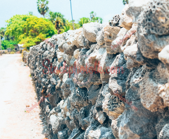 A wall that was made out of coral, Delft Island, Jaffna, Sri Lanka