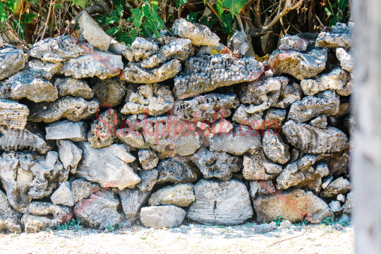 A wall that was made out of coral, Delft Island, Jaffna, Sri Lanka