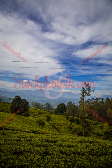 Beautiful Hill Country