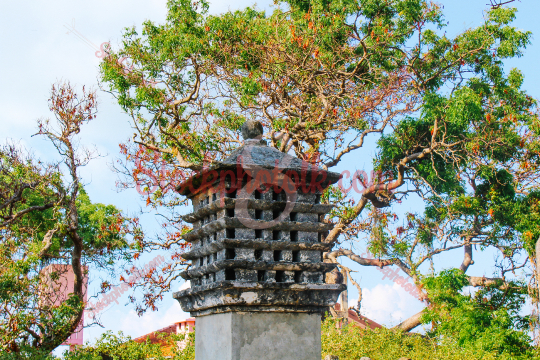 Old Pigeons Nest, Pigeons that were used to transport messages across islands, Delft Island, Jaffna, Sri Lanka