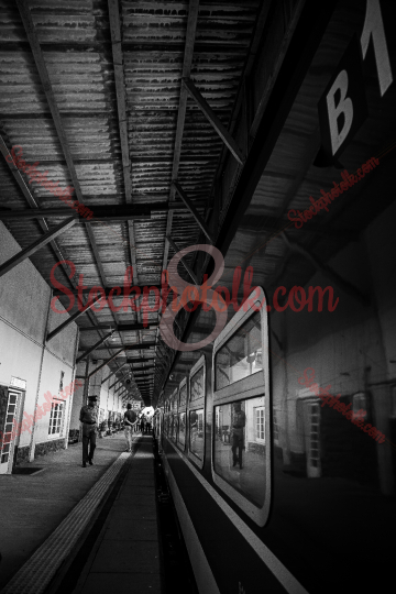 Train at the Station